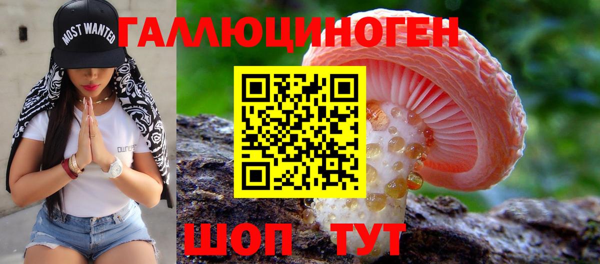 Псилоцибиновые грибы Psilocybe  Псилоцибиновые грибы прущие грибы  Вход с VPN  Георгиевск 